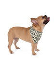Puggie Pout Perfection Pet Bandana