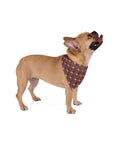 Boxer Blossom Tapestry Delight Pet Bandana