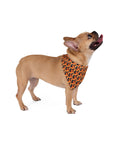 Rottweiler Chic Pawsitivity Pet Bandana