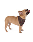 Chic Canine Checkmate - Frenchie Edition Pet Bandana