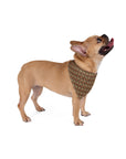 Blooming Pug Paradise Pet Bandana