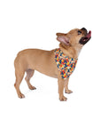 Bloom Pup Frenchietastic Splatter Pet Bandana