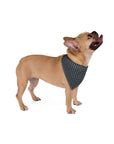 Frenchie Celestial Soar Pet Bandana