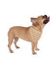 Golden Glamour Paws - Luxe Licks for Regal Retrievers Pet Bandana