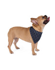 Celestial Boxer Bliss Pet Bandana
