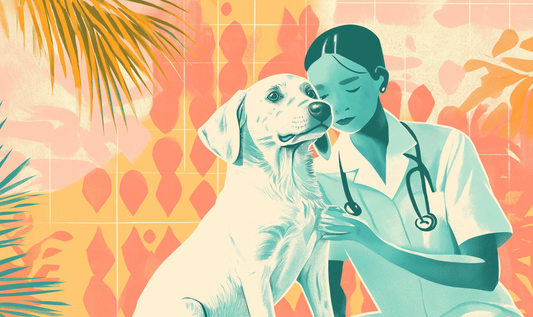 The Ultimate Guide to a Peaceful Vet Visit: Keeping Your Canine Companion Calm and Comforted