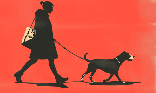 The Art of Strolling with Your Pooch: Dog Walking Etiquette and Gear Essentials for the Modern Pet Parent