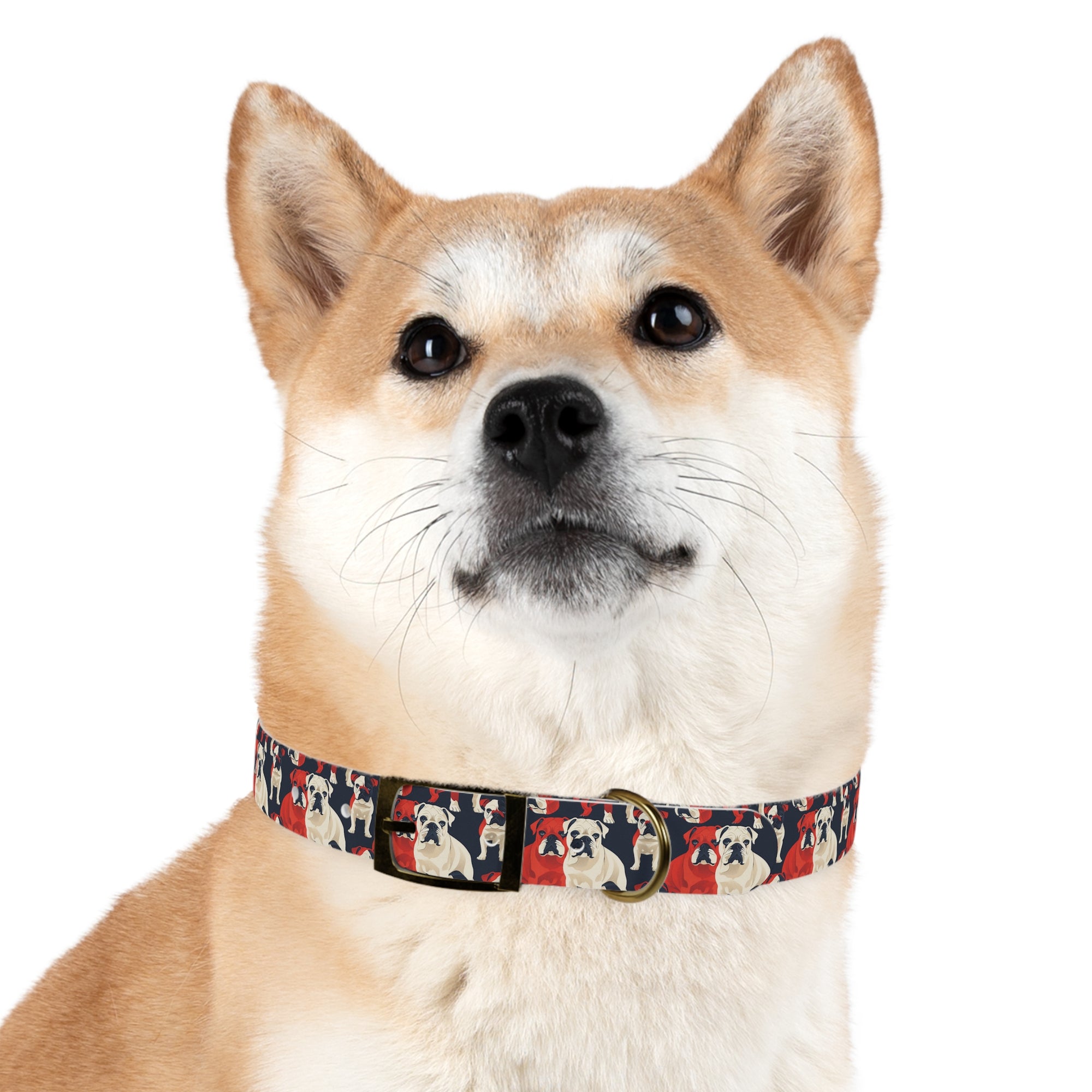 Bulldoggy Bliss Chomper Dog Collar