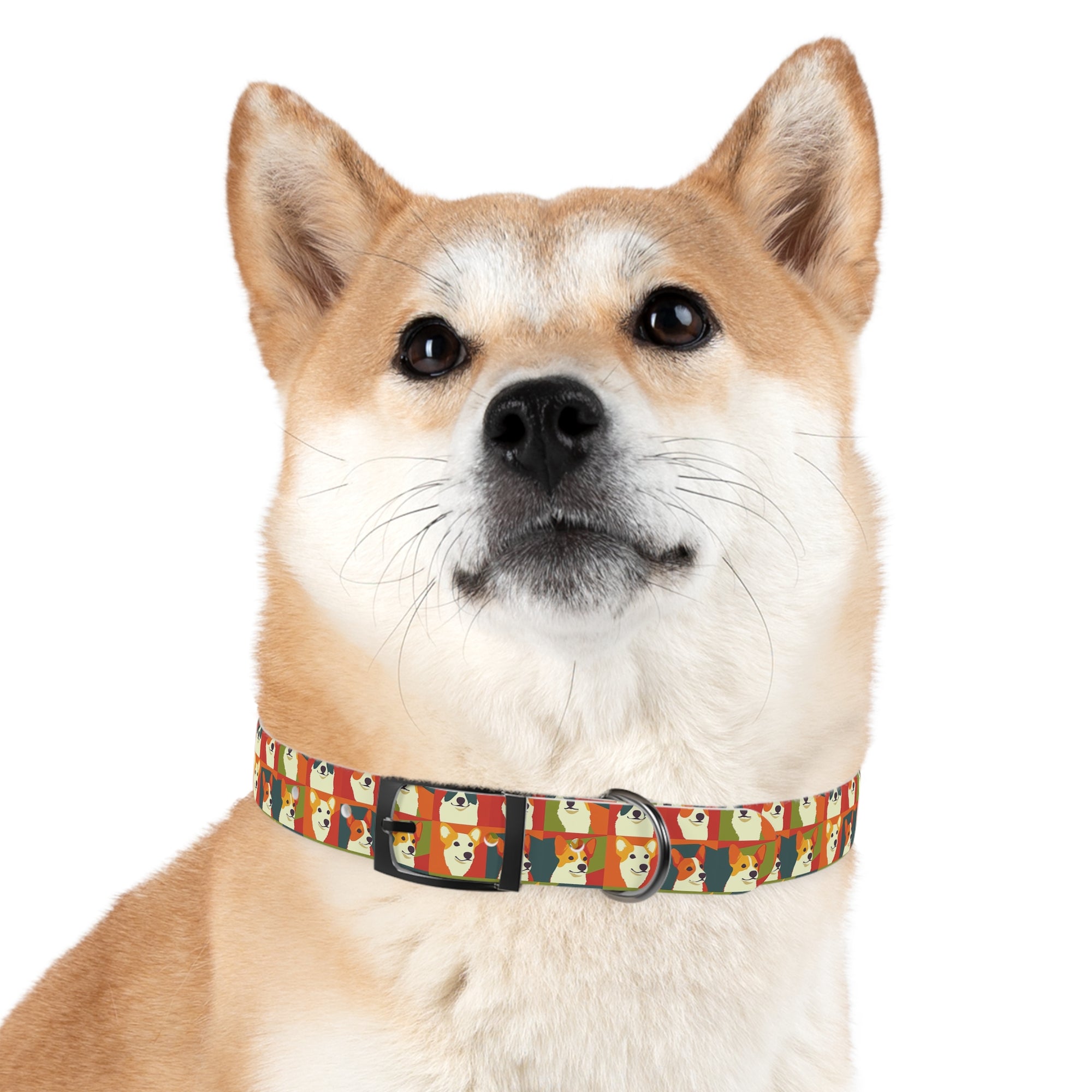 Corgi Chic Popart Pup Dog Collar