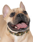 Corgi Rainbow Vine Dream Dog Collar