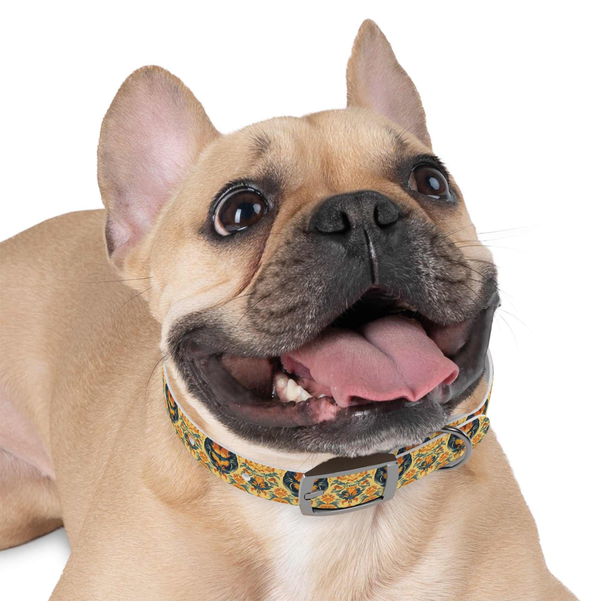 Royal Rottie Regalia Dog Collar