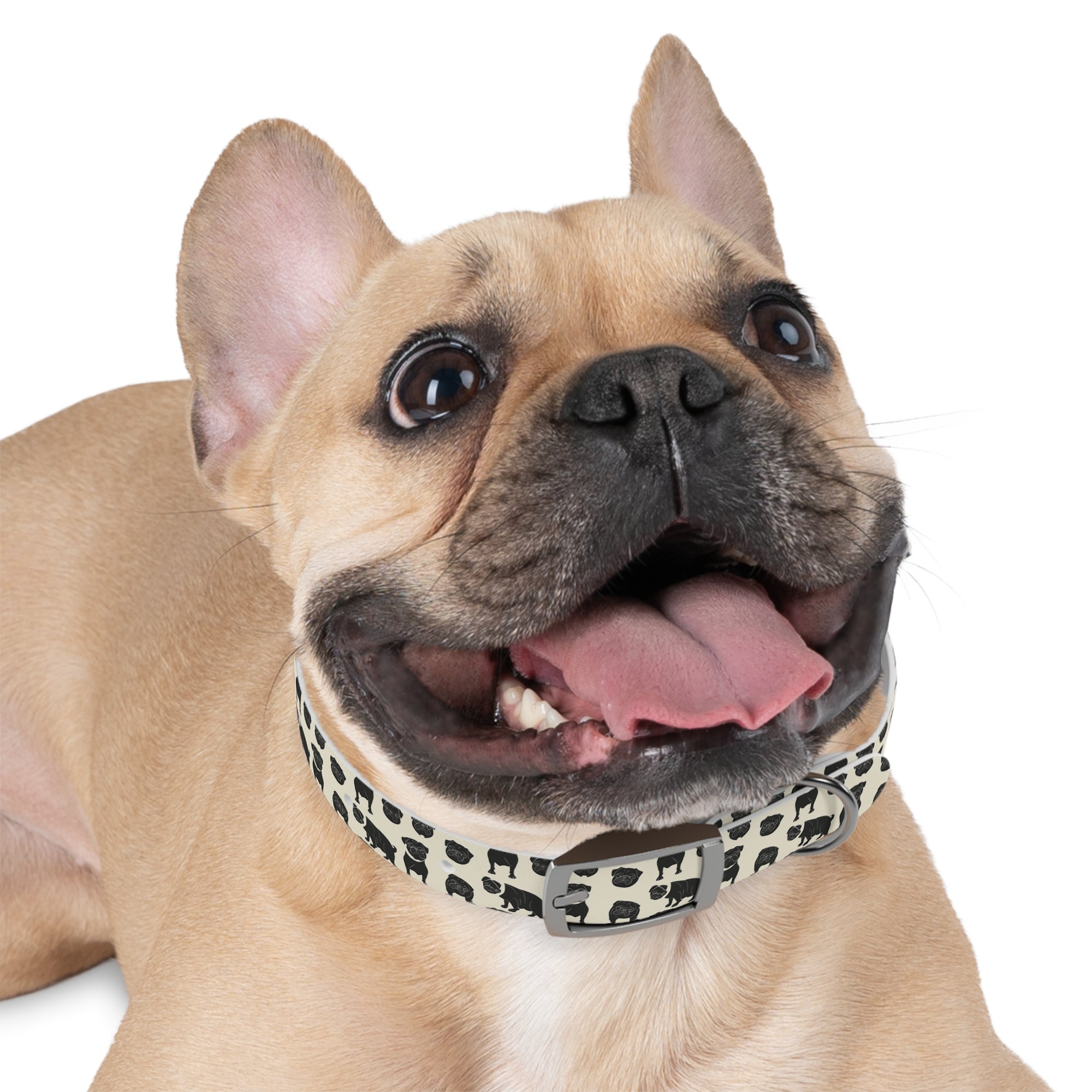 Puggie Pout Perfection Dog Collar