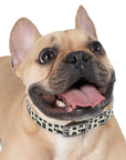 Puggie Pout Perfection Dog Collar