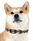 Wildwood Wanderlust Bulldog Dog Collar