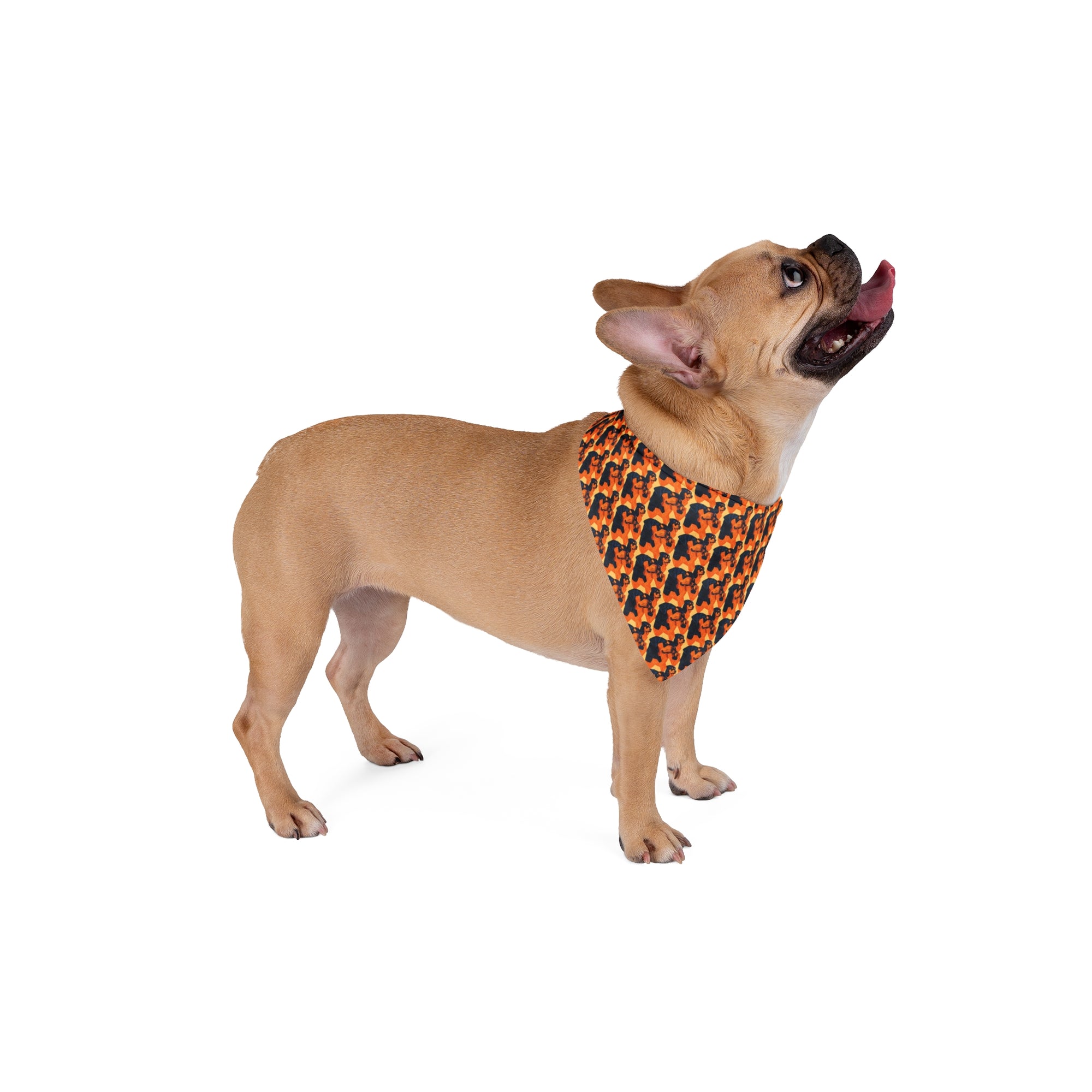 Rottweiler Chic Pawsitivity Pet Bandana