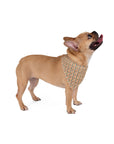 Dazzling Great Dane Dreamscape Pet Bandana