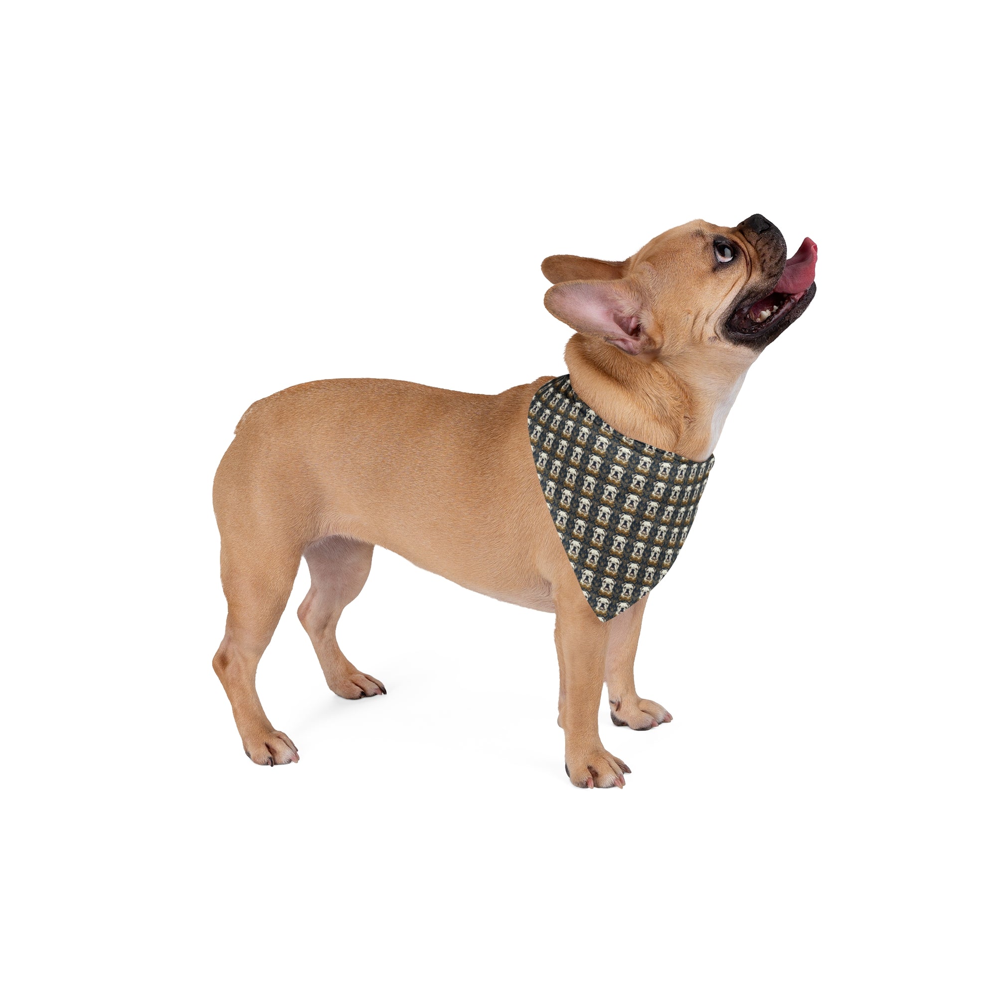 Wildwood Wanderlust Bulldog Pet Bandana
