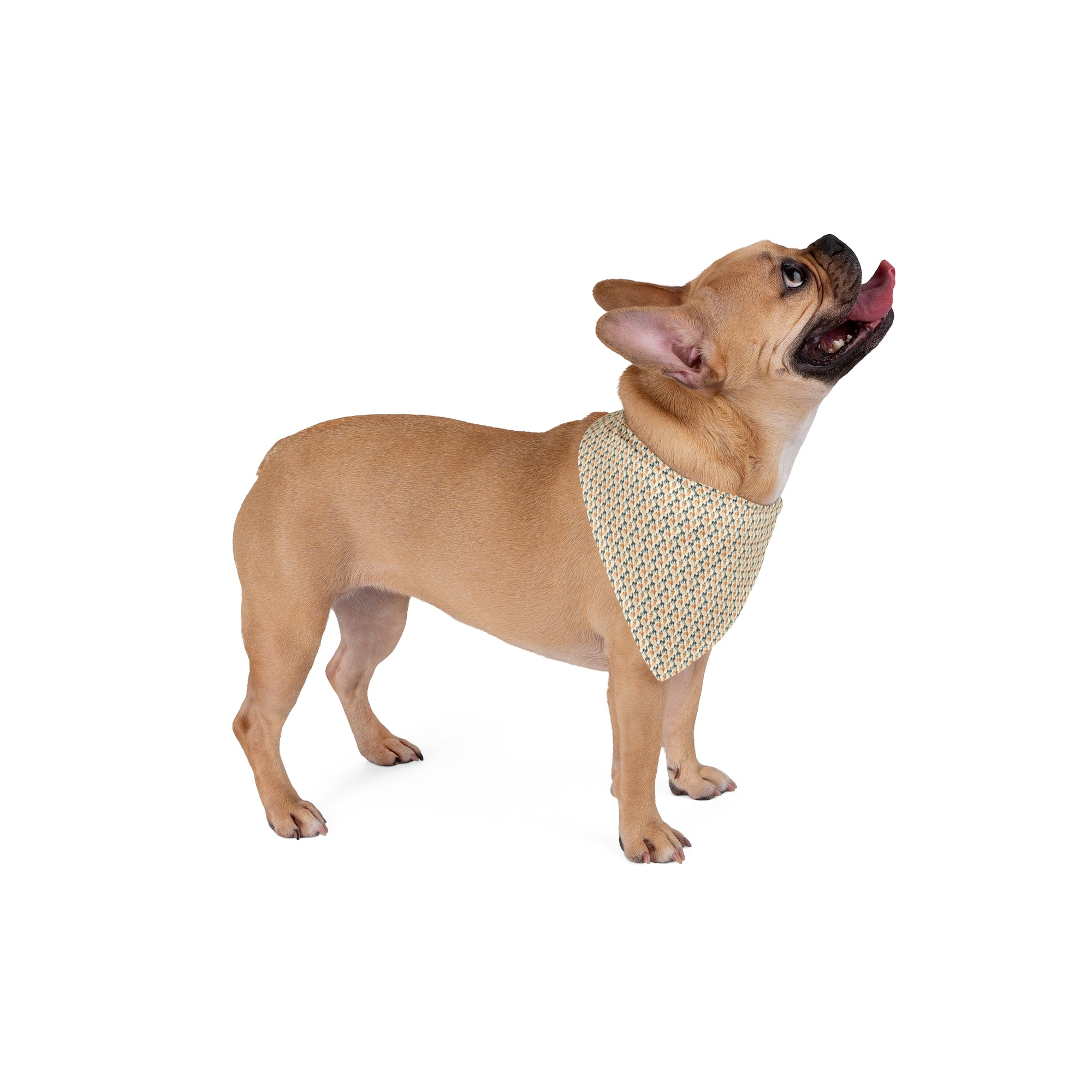 Dashing Dane Divinity Pet Bandana