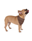 Floral Pawsome Dachsund Delight Pet Bandana