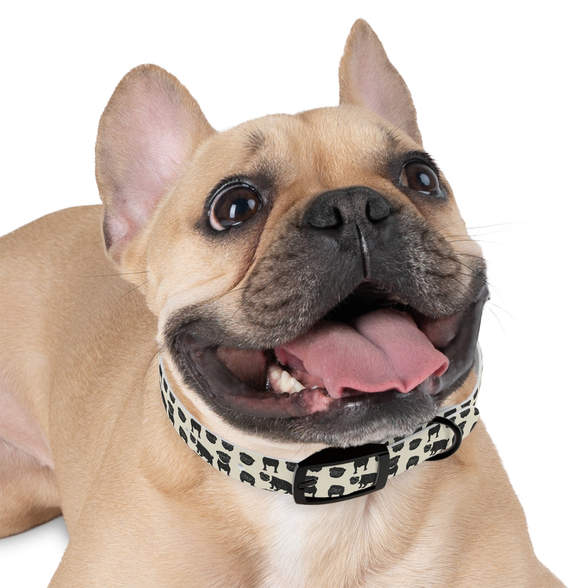 Puggie Pout Perfection Dog Collar