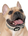 Puggie Pout Perfection Dog Collar