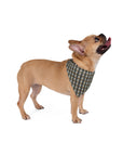 Wildwood Wanderlust Bulldog Pet Bandana