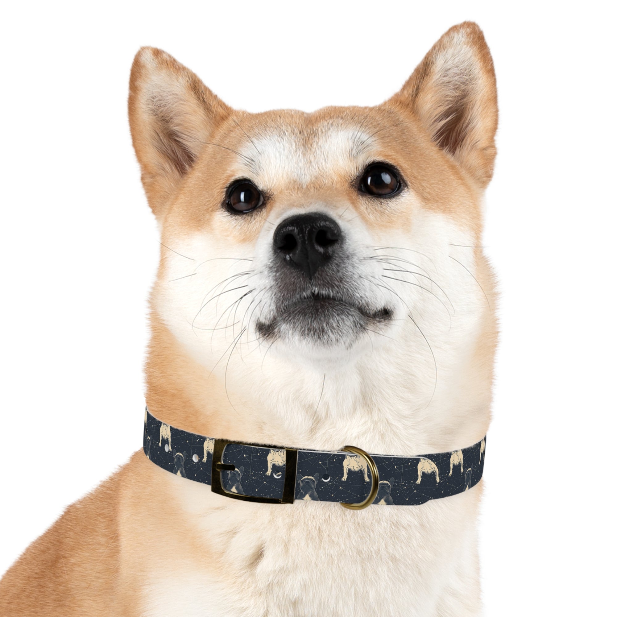 Frenchie Celestial Soar Dog Collar