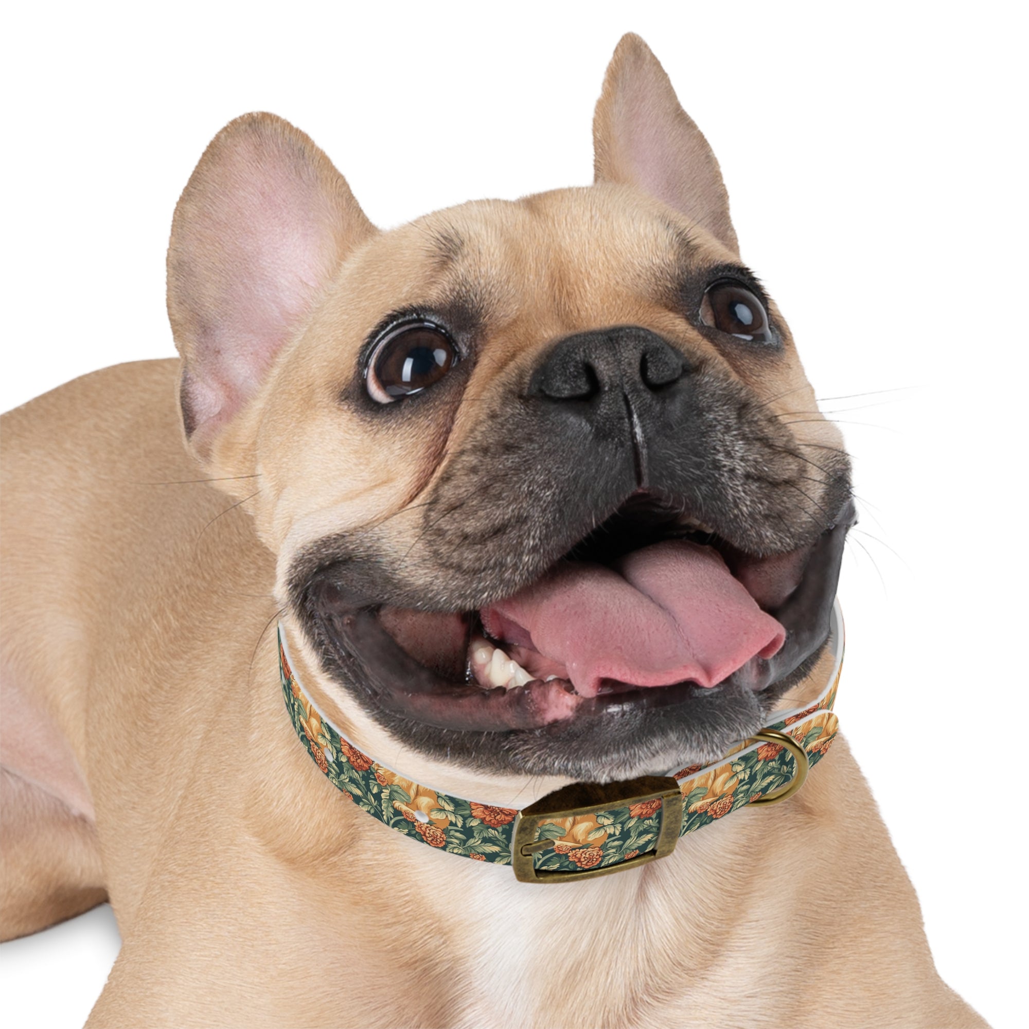 Blooming Goldie Glam Dog Collar