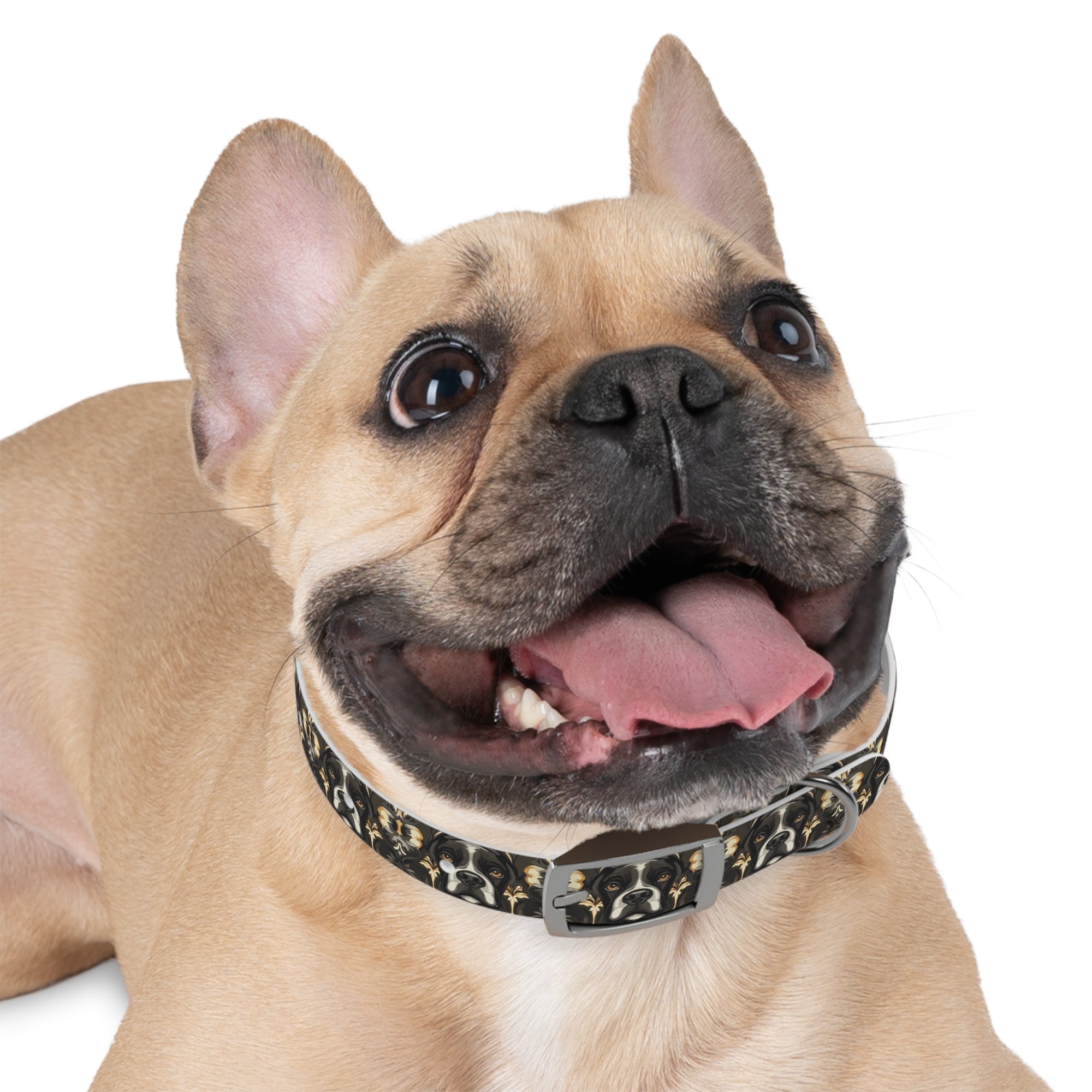 Manor Pup Boxer Royale Dog Collar