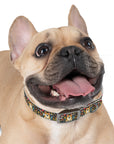 Corgi Rainbow Vine Dream Dog Collar