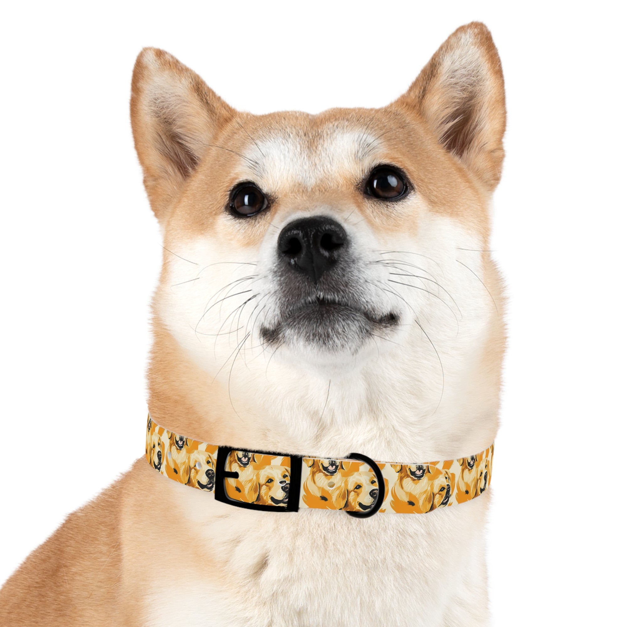 Golden Glitz &#39;n Glamour Woofwear Dog Collar