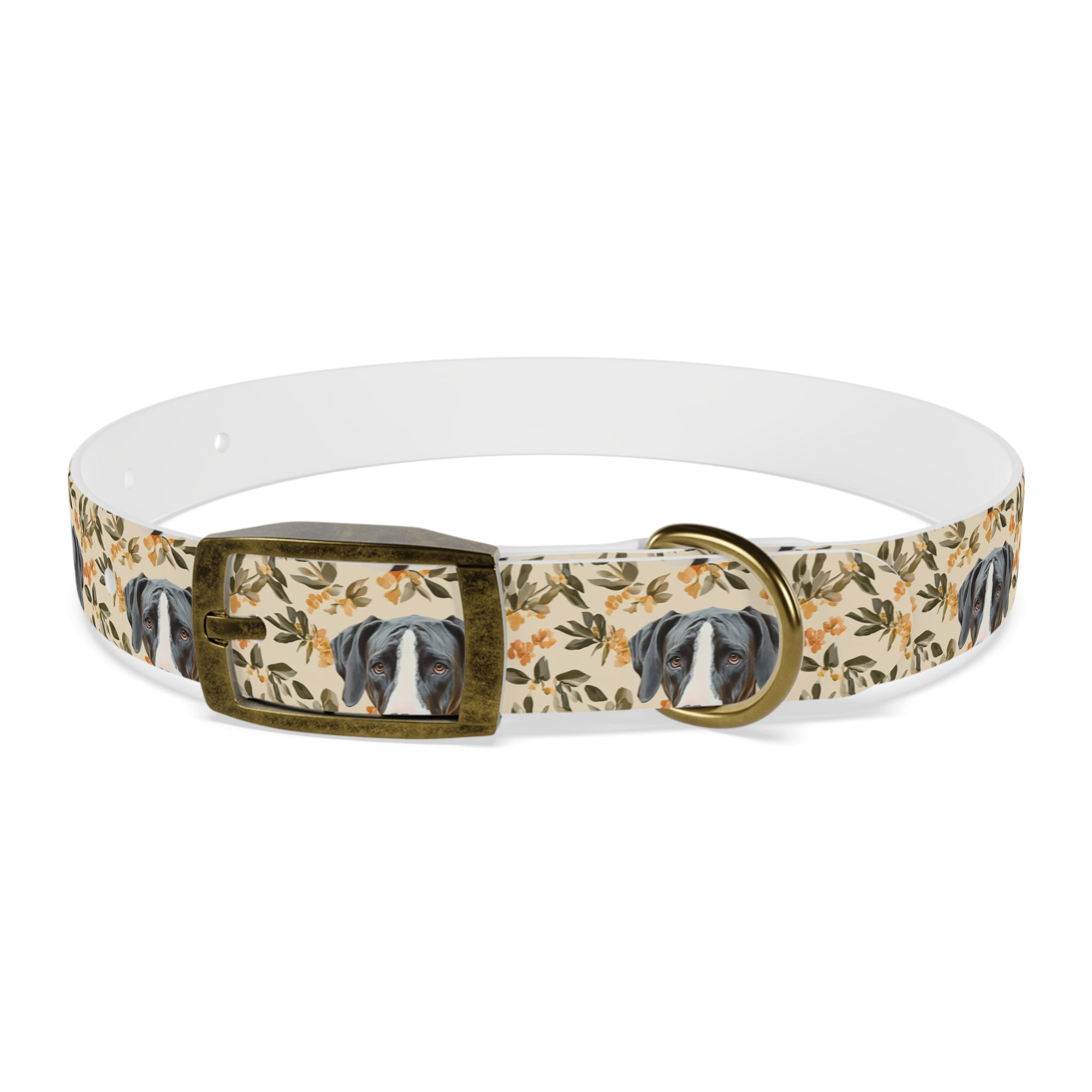 Majestic Great Dane Meadow Dog Collar