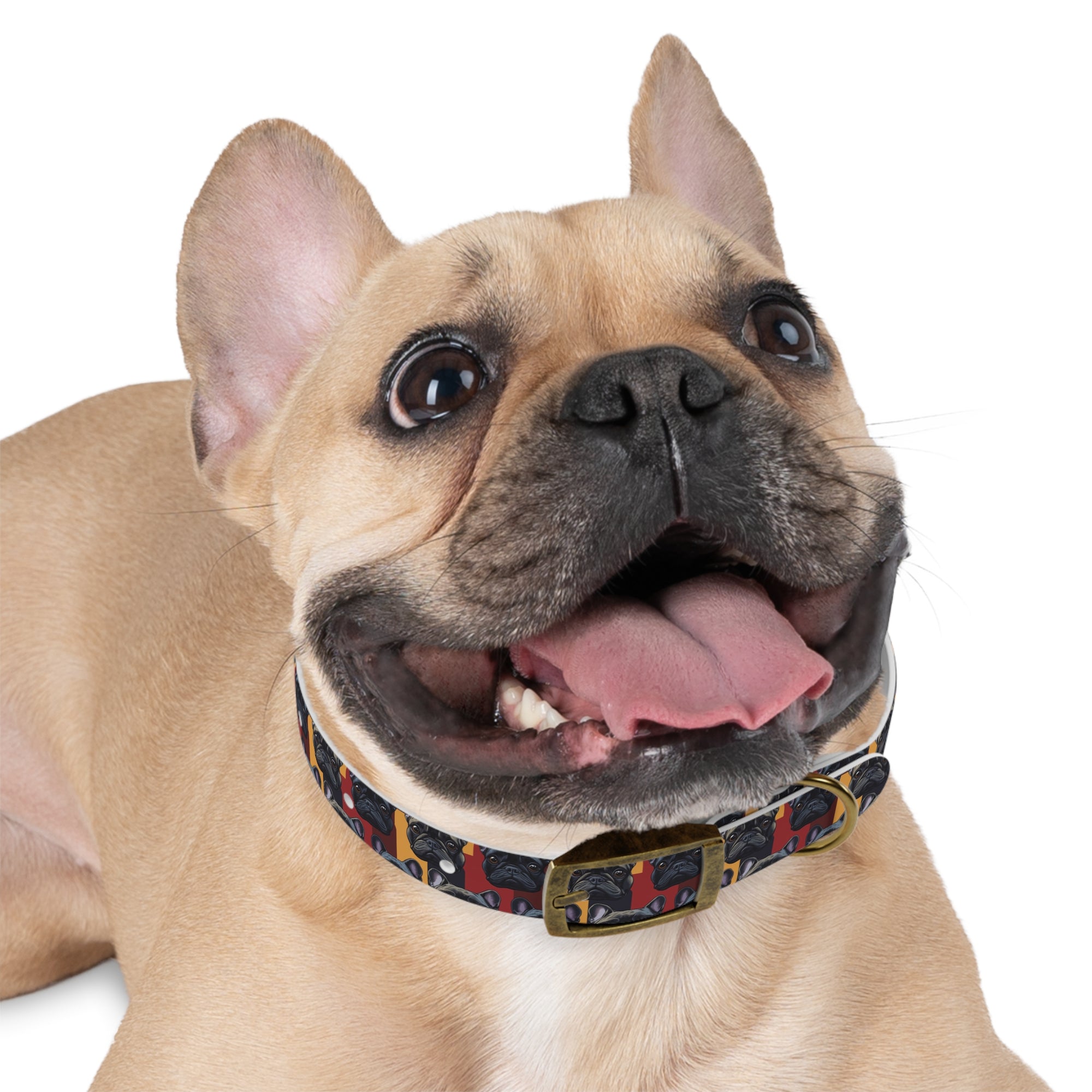 Chic Canine Checkmate - Frenchie Edition Dog Collar