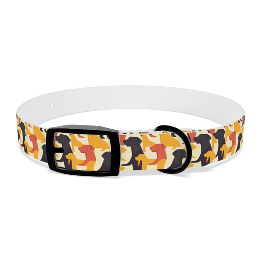 Modern Charm Labrador Chic Dog Collar