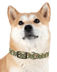 Corgi Charmz Dog Collar