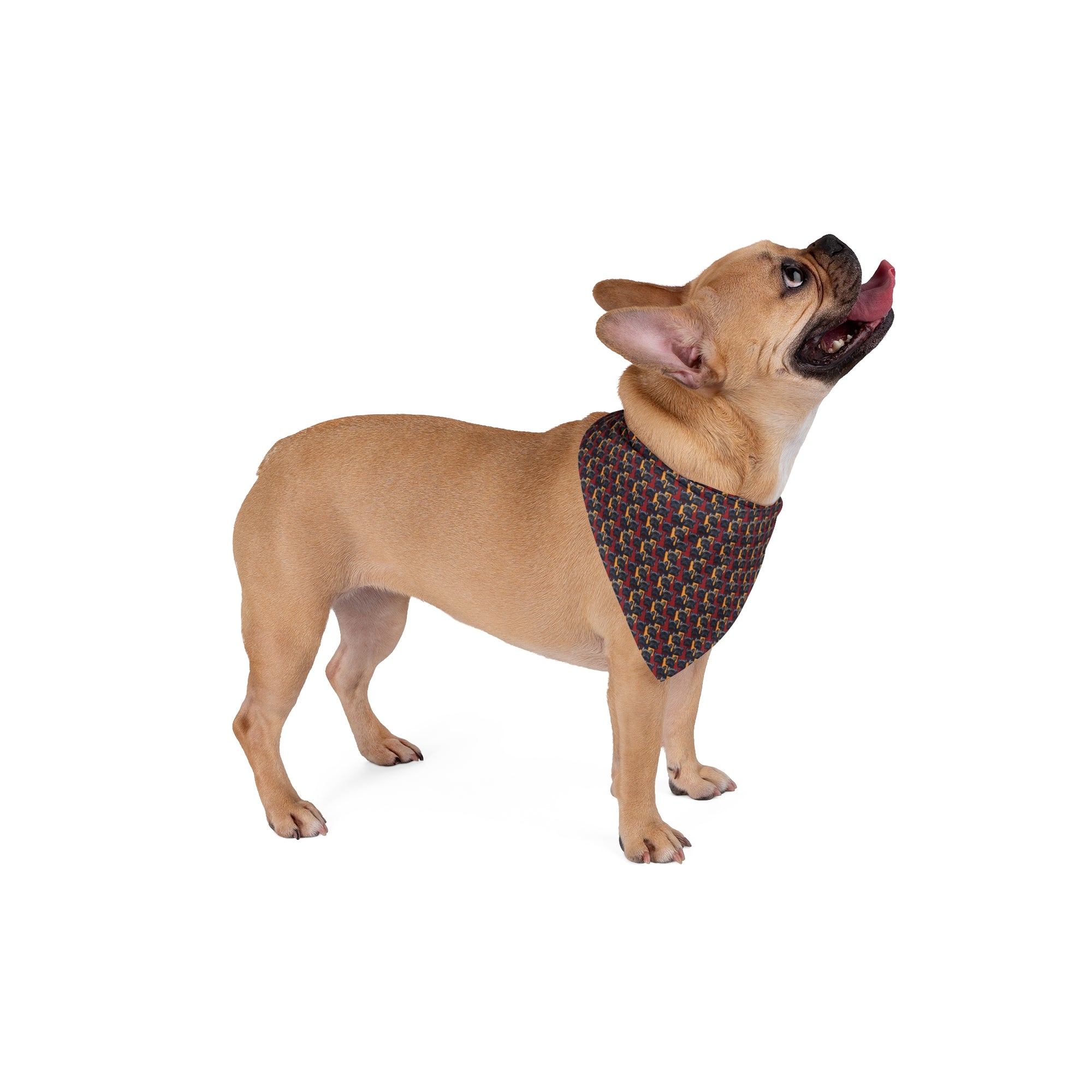 Chic Canine Checkmate - Frenchie Edition Pet Bandana