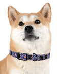 Bloomtastic Lab Petal Parade Dog Collar