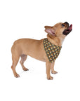 Corgi Rainbow Vine Dream Pet Bandana