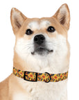 Shepherd Safari Retreat Dog Collar