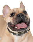 Wildwood Wanderlust Bulldog Dog Collar