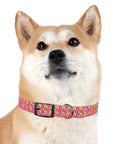 Bubblegum Glamour Bulldog Bouquet Dog Collar