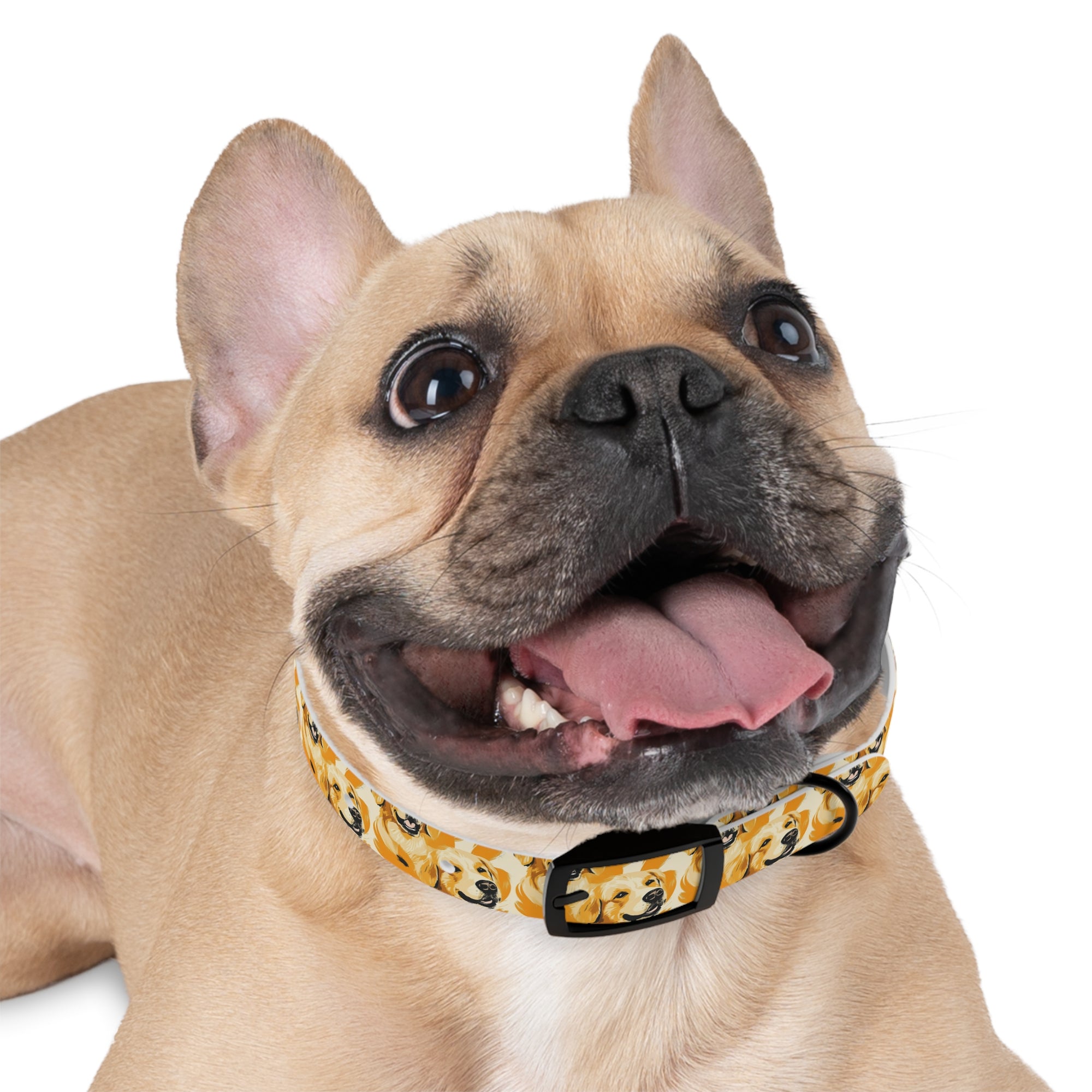 Golden Glitz &#39;n Glamour Woofwear Dog Collar