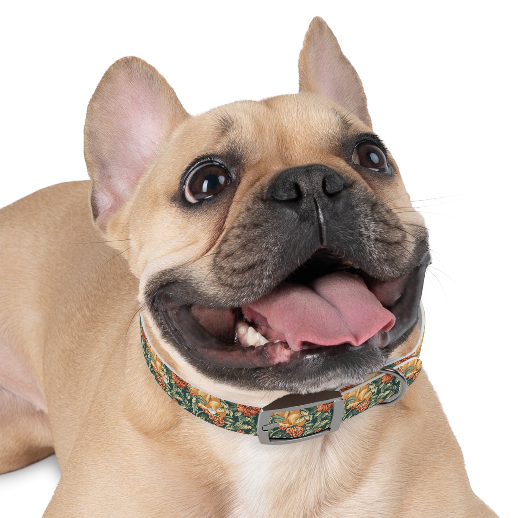 Blooming Goldie Glam Dog Collar