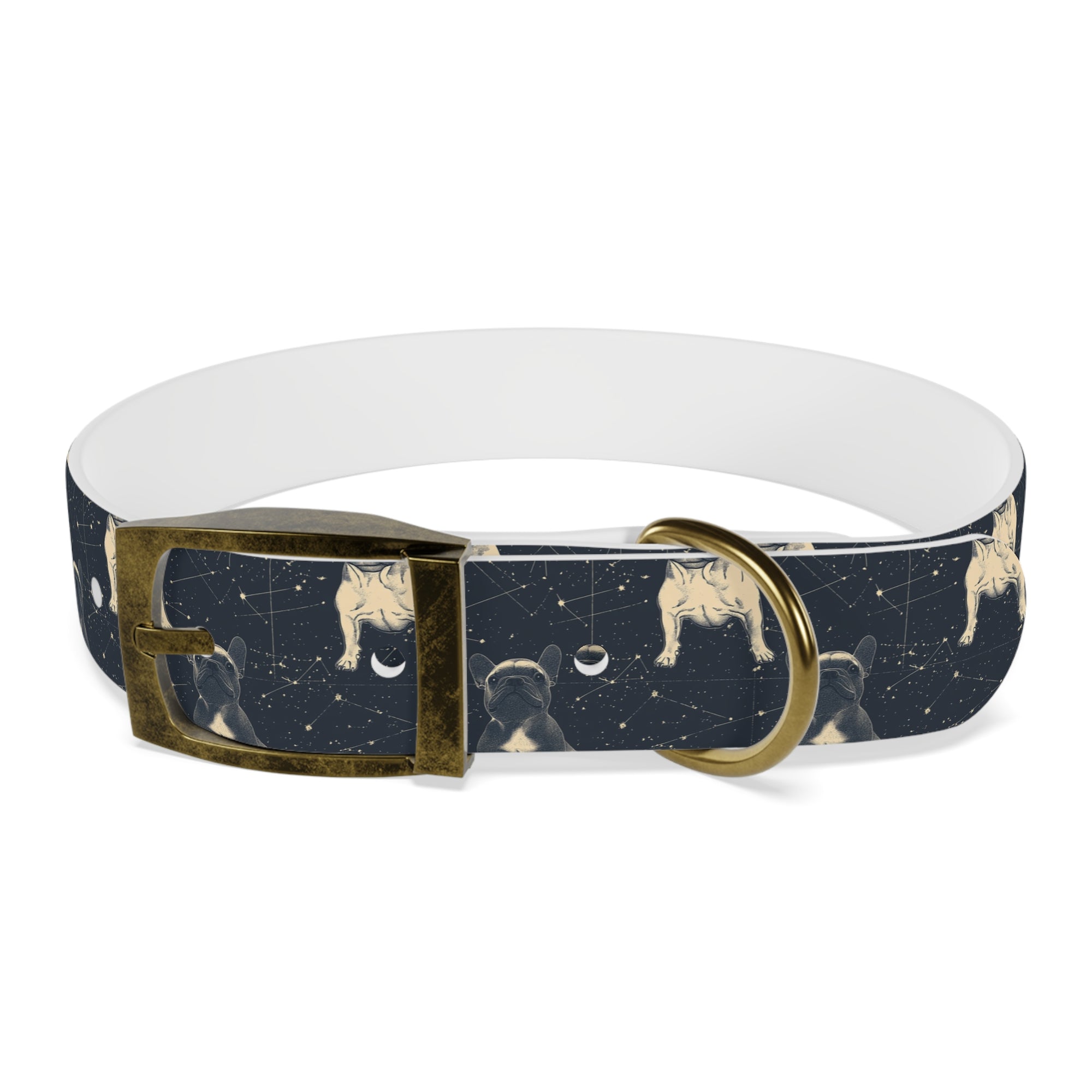 Frenchie Celestial Soar Dog Collar