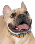 Frenchie Pop Art Pawfection Grid Dog Collar