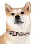 Bloomiful Lab Bouquet Dog Collar