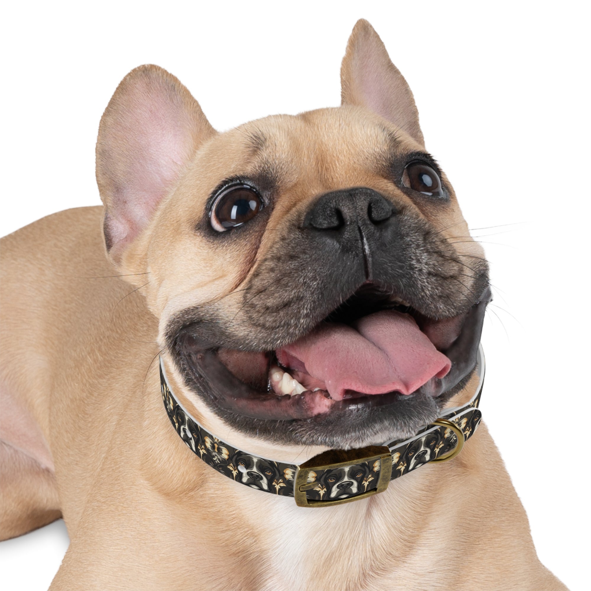 Manor Pup Boxer Royale Dog Collar