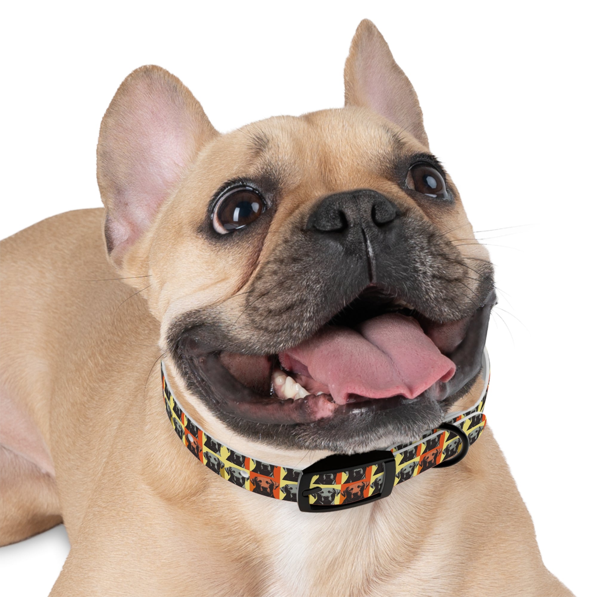 Whimsical Warhol Labrador Dog Collar