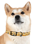 Golden Glitz 'n Glamour Woofwear Dog Collar