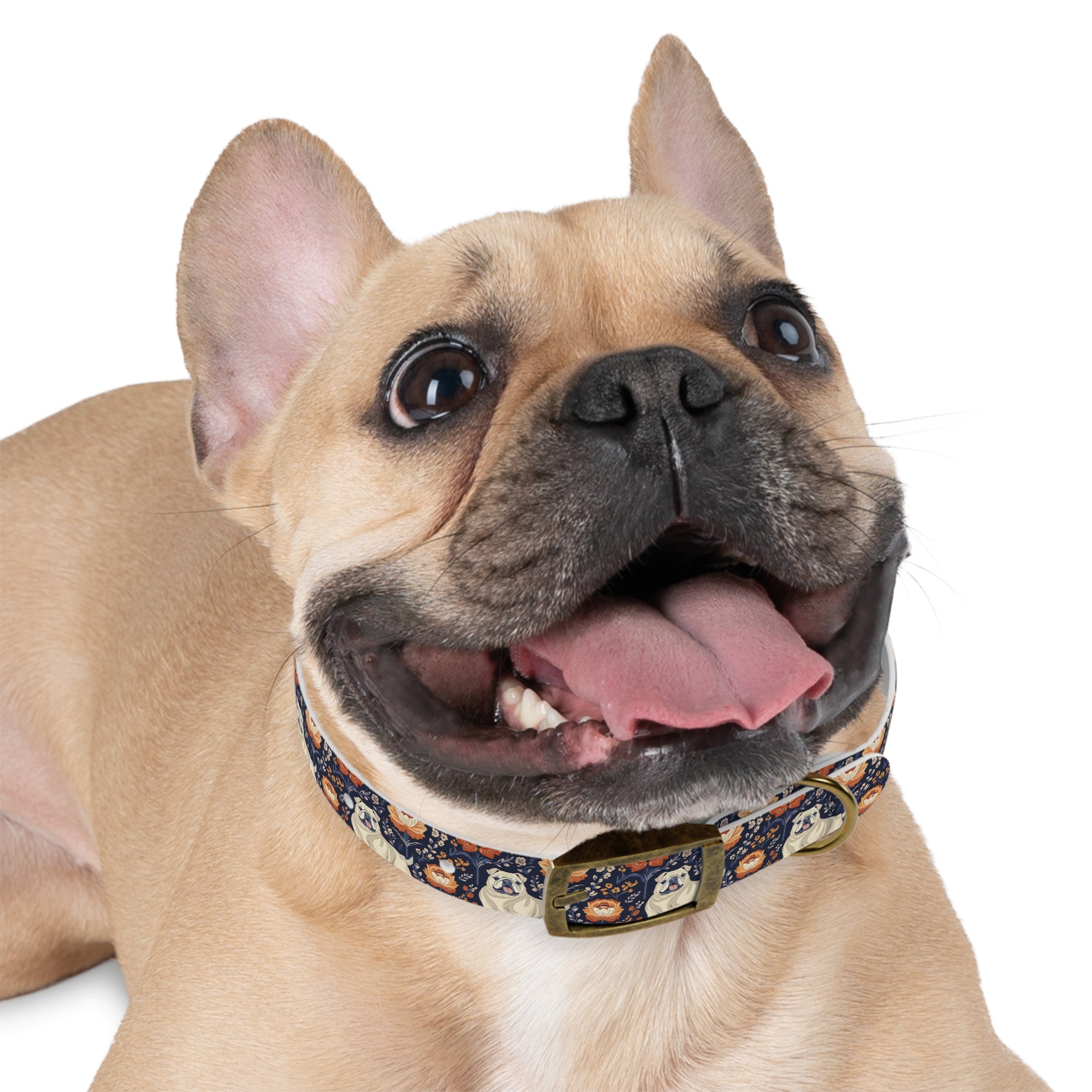 Bulldog Blossom Bonanza Dog Collar